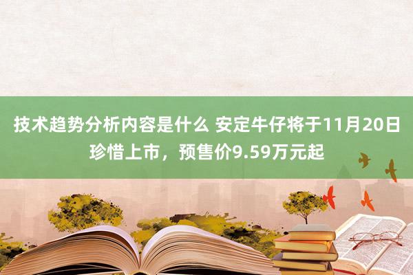 技术趋势分析内容是什么 安定牛仔将于11月20日珍惜上市，预售价9.59万元起