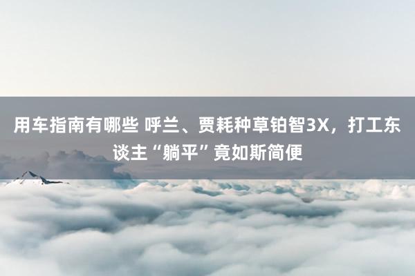 用车指南有哪些 呼兰、贾耗种草铂智3X，打工东谈主“躺平”竟如斯简便