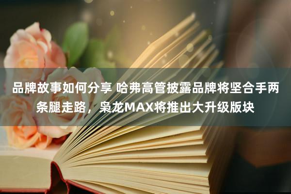 品牌故事如何分享 哈弗高管披露品牌将坚合手两条腿走路，枭龙MAX将推出大升级版块